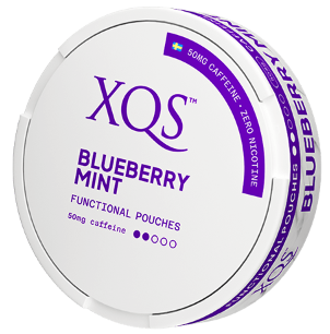 XQS Blueberry Mint Nikotinfritt Snus