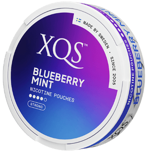 XQS Blueberry Mint Slim Strong
